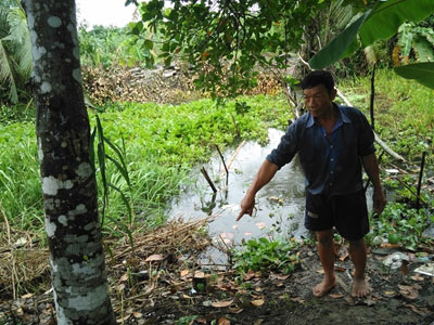 Ảnh bìa bài viết 388405