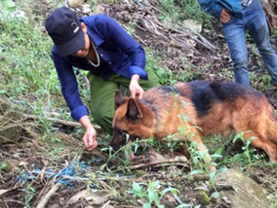 Ảnh bìa bài viết 390232