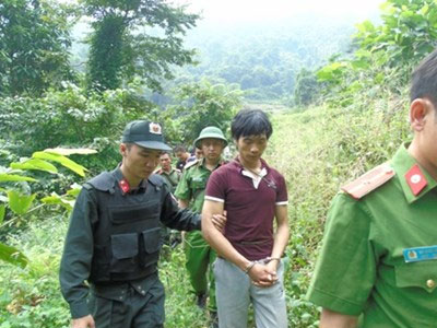 Ảnh bìa bài viết 390236