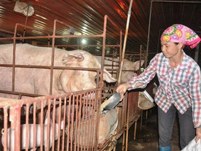 Ảnh bìa bài viết 390336