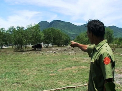 Ảnh bìa bài viết 390901