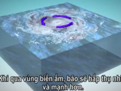 Ảnh bìa bài viết 391154