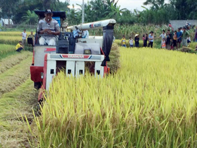 Ảnh bìa bài viết 391206