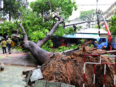 Ảnh bìa bài viết 391801