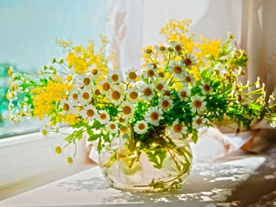 Ảnh bìa bài viết 391537