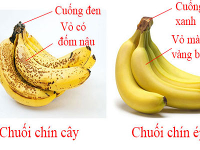 Ảnh bìa bài viết 392349