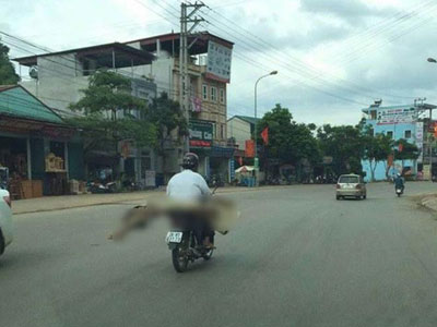 Ảnh bìa bài viết 392763