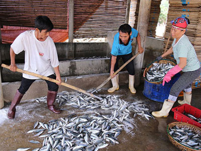 Ảnh bìa bài viết 393658