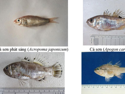 Ảnh bìa bài viết 394093