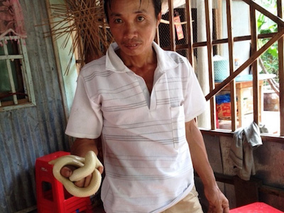 Ảnh bìa bài viết 394982
