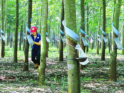 Ảnh bìa bài viết 395506