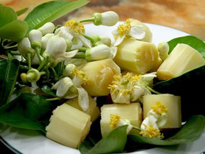 Ảnh bìa bài viết 395664