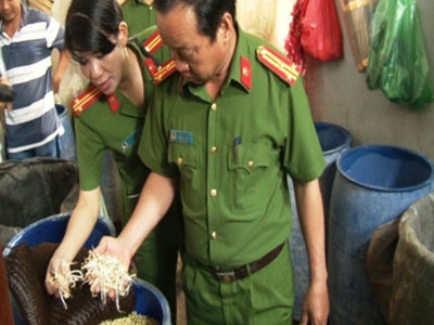 Ảnh bìa bài viết 396247