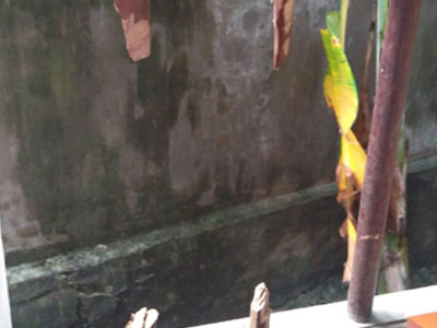 Ảnh bìa bài viết 396811