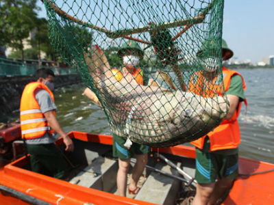 Ảnh bìa bài viết 397106