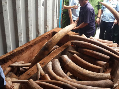 Ảnh bìa bài viết 398256