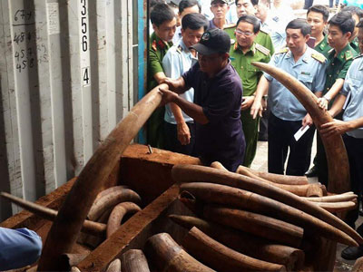 Ảnh bìa bài viết 398398