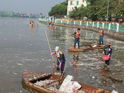 Ảnh bìa bài viết 398655