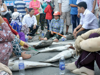 Ảnh bìa bài viết 399741