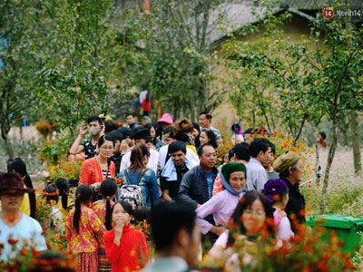 Ảnh bìa bài viết 400560