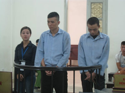 Ảnh bìa bài viết 401949