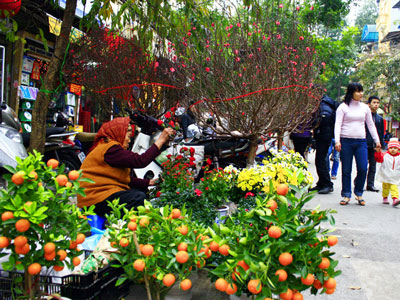Ảnh bìa bài viết 401735