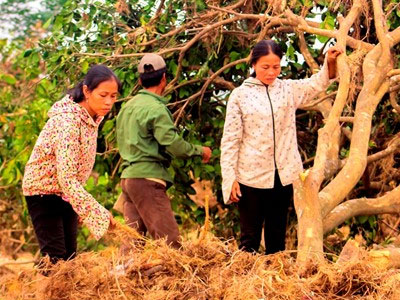 Ảnh bìa bài viết 402078