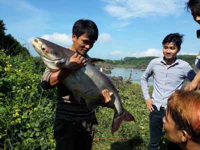 Ảnh bìa bài viết 403516