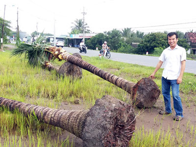 Ảnh bìa bài viết 403391