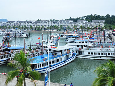 Ảnh bìa bài viết 403351