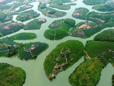 Ảnh bìa bài viết 404703