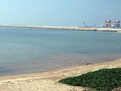 Ảnh bìa bài viết 405386