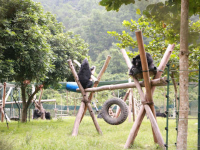 Ảnh bìa bài viết 407526