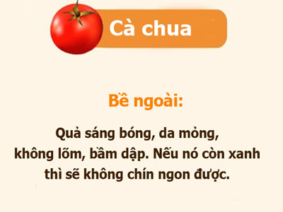 Ảnh bìa bài viết 408679