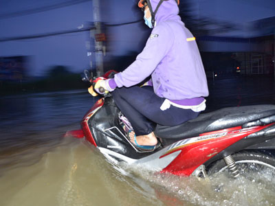 Ảnh bìa bài viết 408489