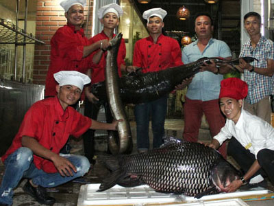 Ảnh bìa bài viết 408631