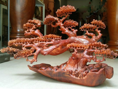 Ảnh bìa bài viết 411093