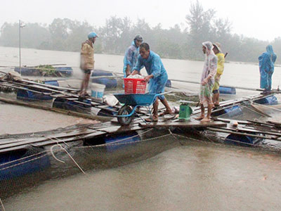 Ảnh bìa bài viết 412621