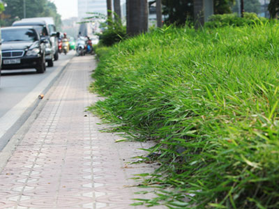 Ảnh bìa bài viết 413960