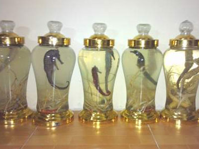 Ảnh bìa bài viết 413806