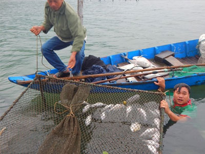 Ảnh bìa bài viết 414599