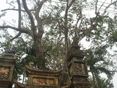 Ảnh bìa bài viết 416110