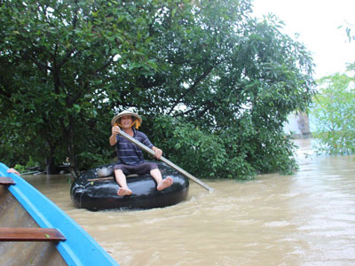 Ảnh bìa bài viết 416381