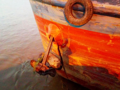 Ảnh bìa bài viết 416836