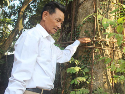 Ảnh bìa bài viết 418279