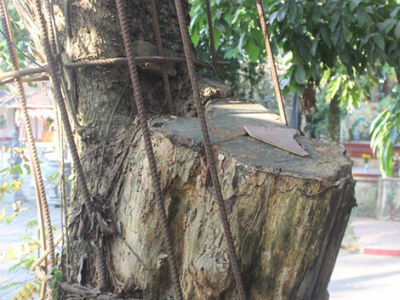 Ảnh bìa bài viết 418422
