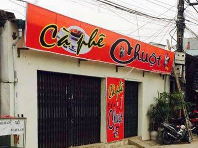 Ảnh bìa bài viết 419127