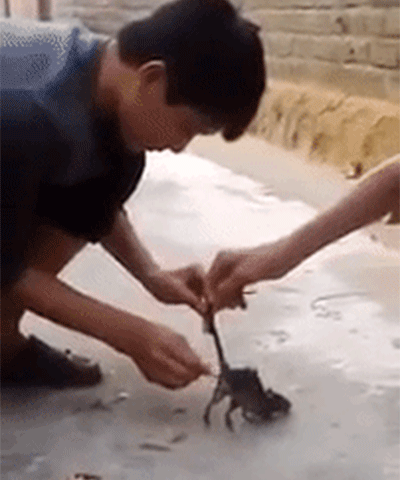 Ảnh bìa bài viết 421175