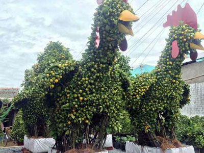 Ảnh bìa bài viết 422003