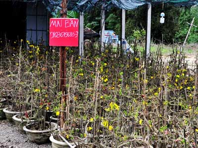Ảnh bìa bài viết 422420